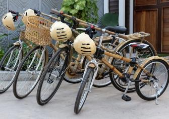 Bamboo Bicycles